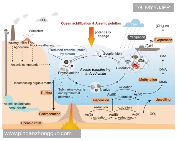 冰球联赛恶意犯规趋势分析及处罚机制演变探讨 冰球联赛恶意犯规趋势分析及处罚机制演变探讨