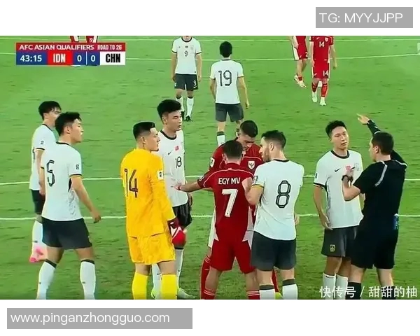 裁判误判致胜负反转,国际足联介入调查 裁判误判致胜负反转,国际足联介入调查