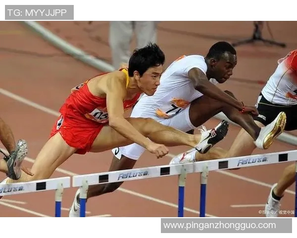 奥运会田径项目参赛选手技术比较