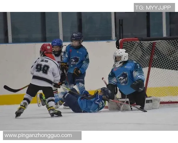 冰球比赛中守门员扑救选择行为与进攻模式对比 冰球比赛中守门员扑救选择行为与进攻模式对比