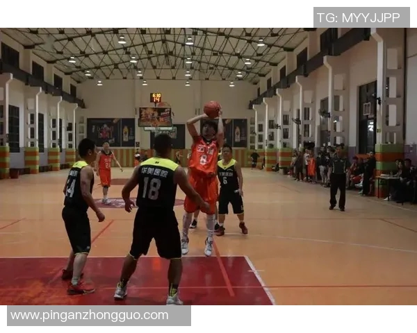 技术统计：篮球八卦近5场表现一览